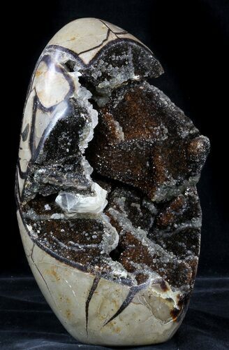 Polished Septarian Geode Sculpture - Black Crystals #55019